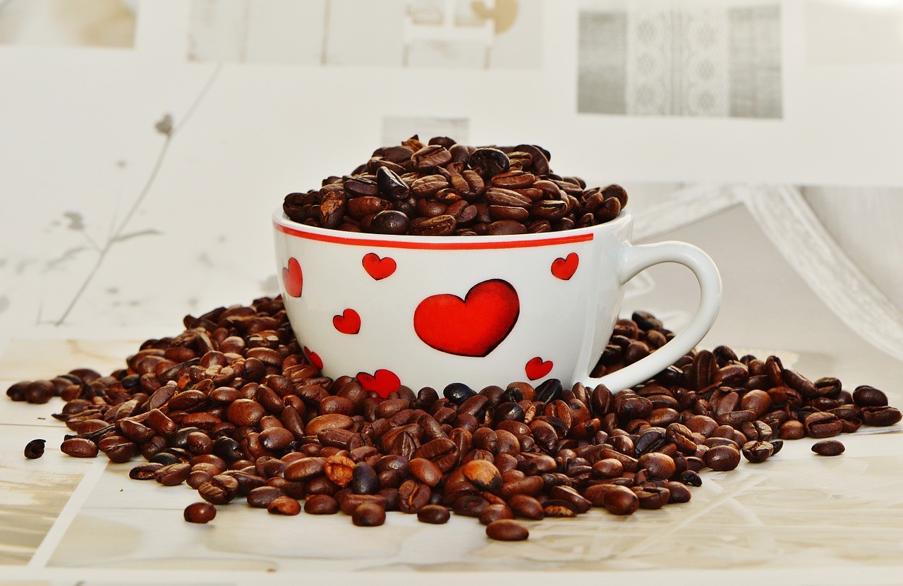 Kohvi Kasvatamine Kohviubade Liigid Ja Maitseomadused Boon Kohvipood